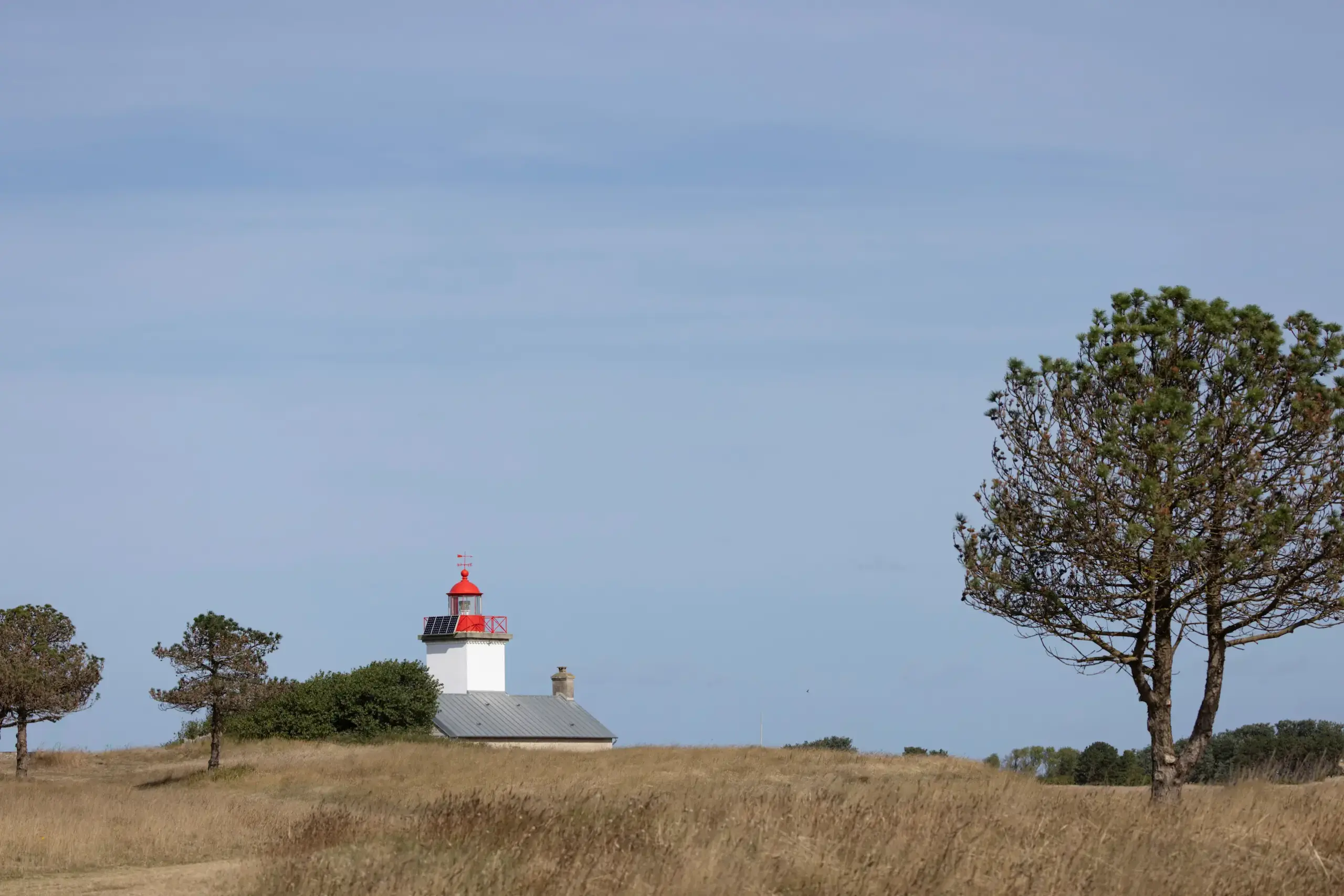 Petit phare blanc à toit rouge en prairie