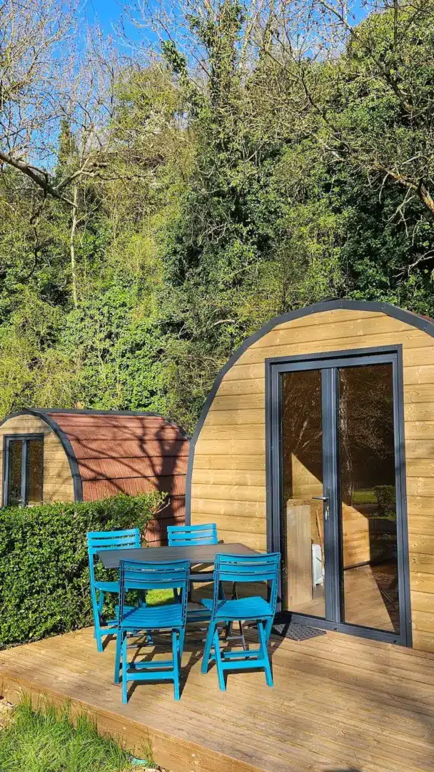 Modern wood cabins in the forest