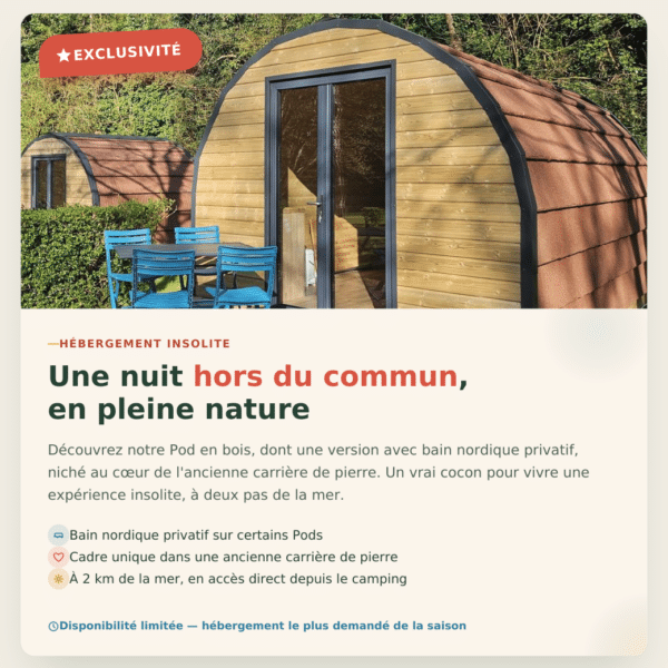 Pod en bois avec terrasse en nature